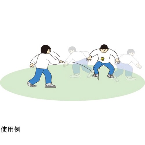 ソフトイレギュラーボール75