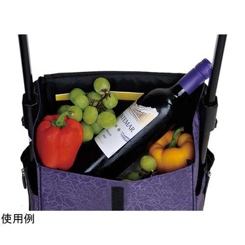 ウォーキングキャリー