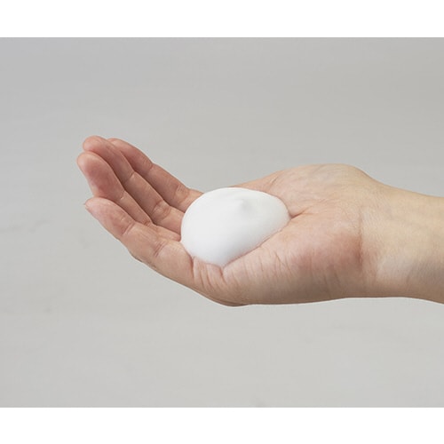 うるおいの木 泡の全身シャンプー 20L