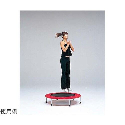 ジャンピングシェイプ 100