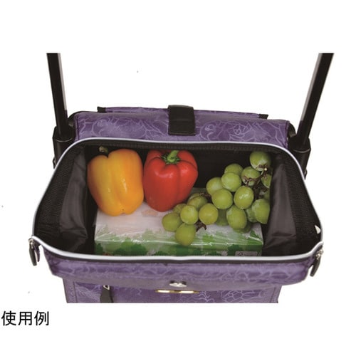 ウォーキングキャリー