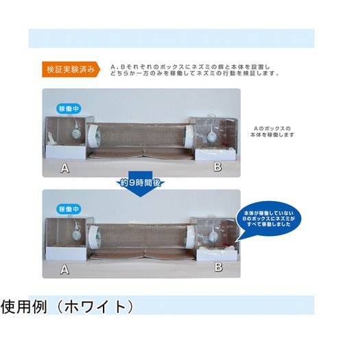 チューバスター