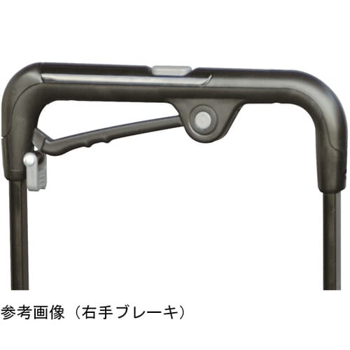 ウォーキングキャリー