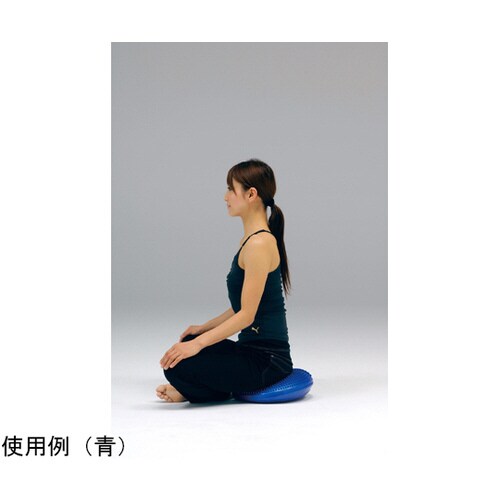 バランスクッション 705 赤