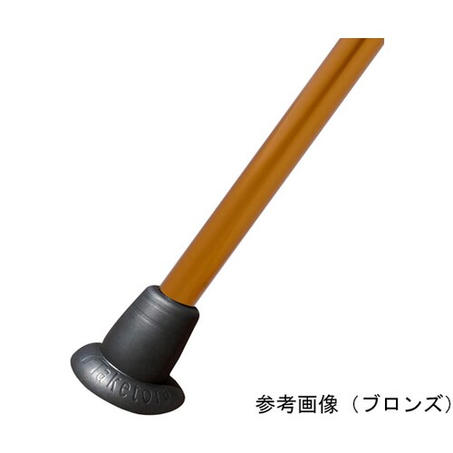 バンブーステッキ ブラック