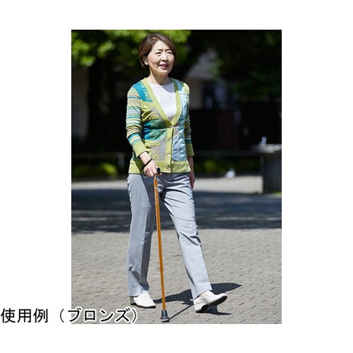 バンブーステッキ ブラック