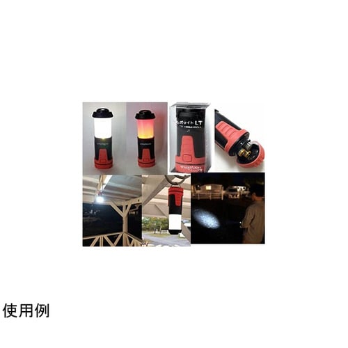 テルボライト LT 50個入
