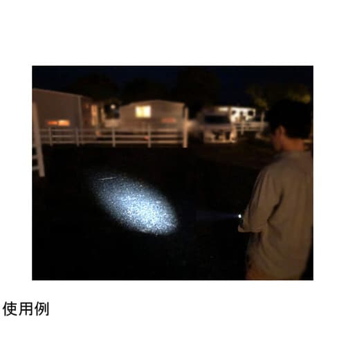 テルボライト LT 50個入