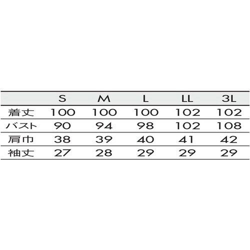 ナースワンピース レディス半袖 ホワイト 3L