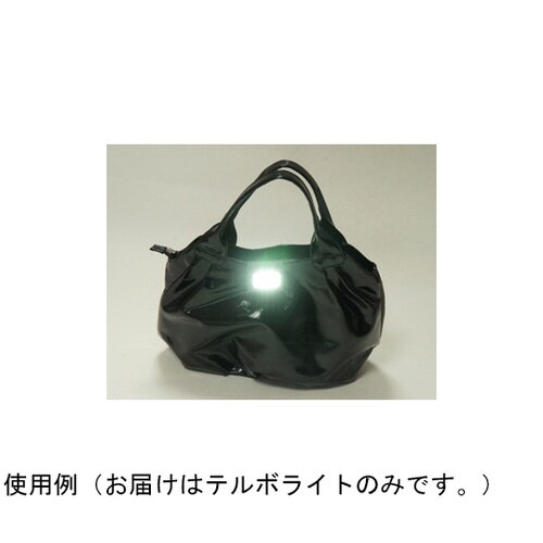 テルボライト MG 50個入