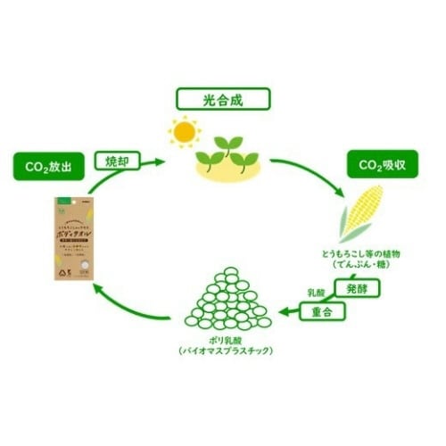 エコロジーニ とうもろこしからできたボディタオル