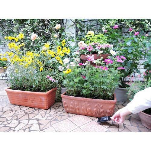 ネコ専用のみはり番 容器タイプ 4個入×3