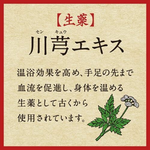 バスロマン薬泉 あたため浴 600G