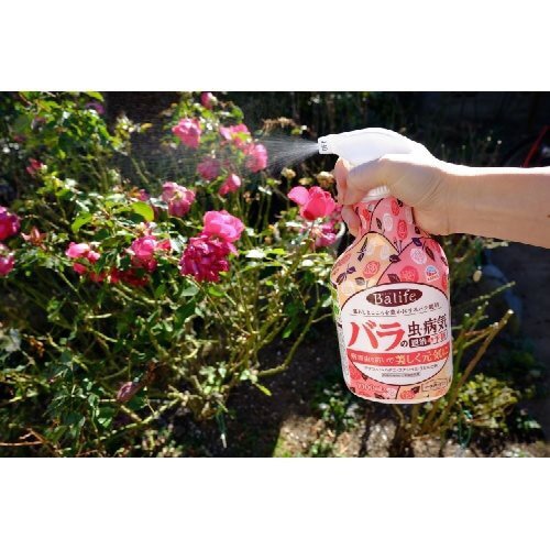 バラダミーBALIFE バラの虫・病気退治&予防1