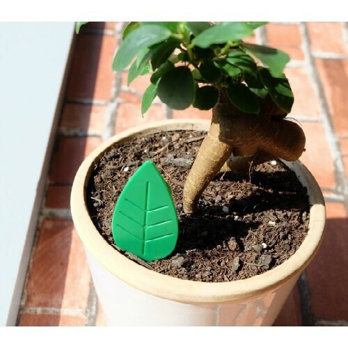 ボタナイス コバエ退治 粘着剤タイプ 4個入×3