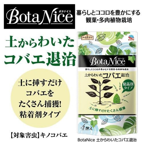 ボタナイス コバエ退治 粘着剤タイプ 4個入×3