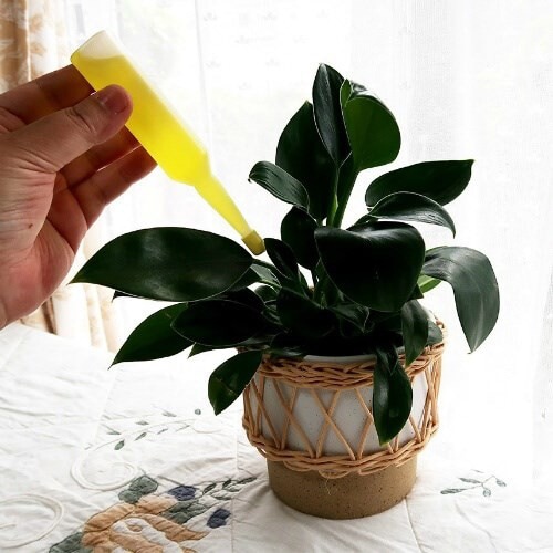 液体肥料(観葉植物用)35ML×10本入