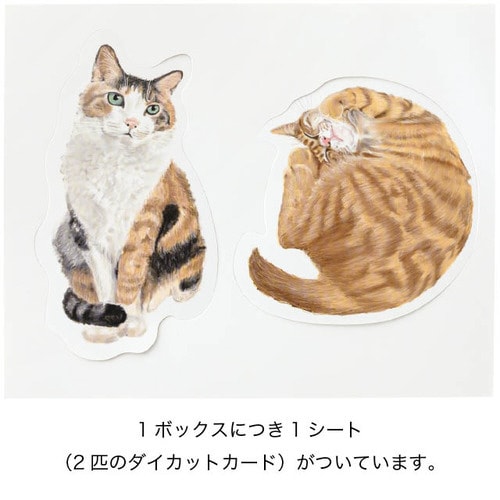 チャリティーアニマルコレクション貼箱 猫 6個入