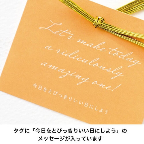 チューリップ舟形ペーパーバッグ 20枚入