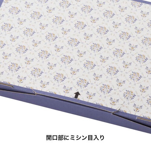 アンティークFポストインボックスS 10枚入×2