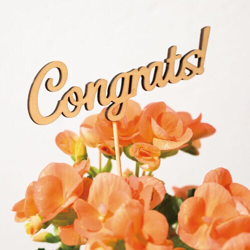 コングラッツウッドフラワーピック 10本入×2