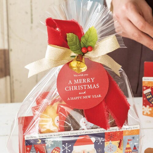 クリスマスフルリールワイヤータイ 1 10個入×2