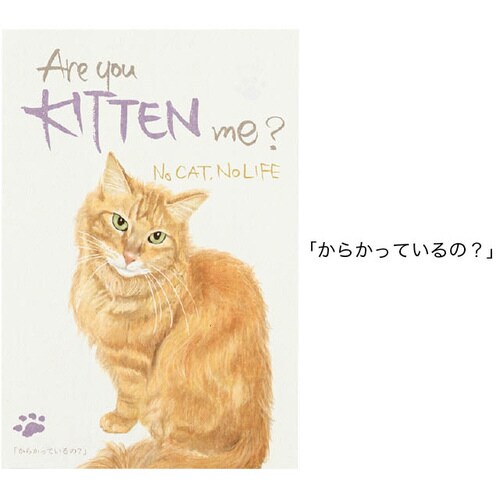 チャリティーアニマルアソートカード1 30枚入×3