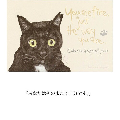 チャリティーアニマルアソートカード1 30枚入×3