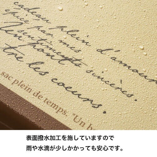 メルヴェイユ宅配ペーパーバッグ 1 10枚入