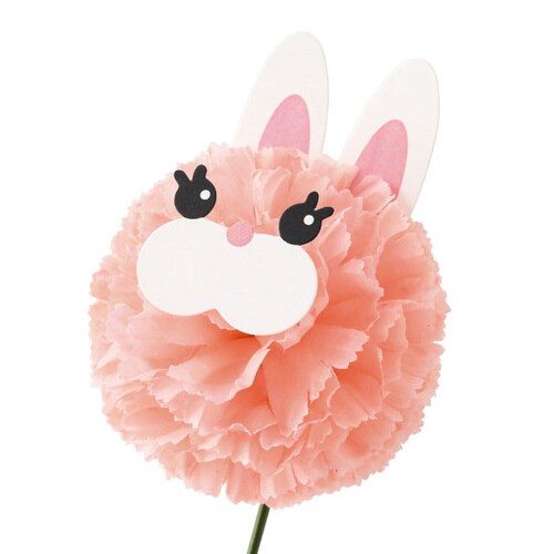 うさフルリール S ピンク 10本入