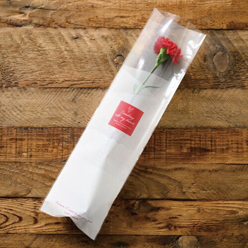 ホワイトチュールギフトOPPバッグ1 50枚入×2