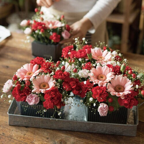 インナーカップスクエア M 透明 30個入×2