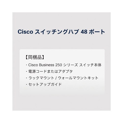 CBS250 48ポートスイッチングハブ