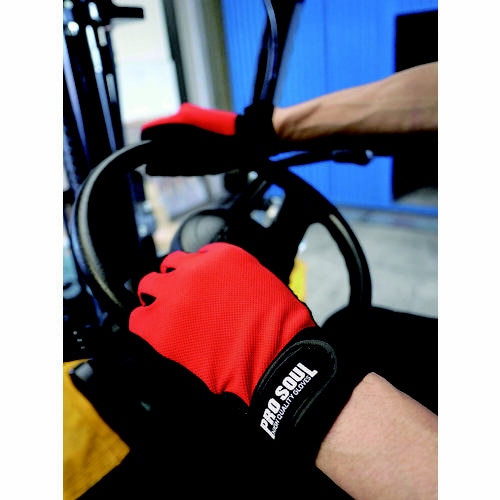 プロソウルレッドPS−993LL 10個