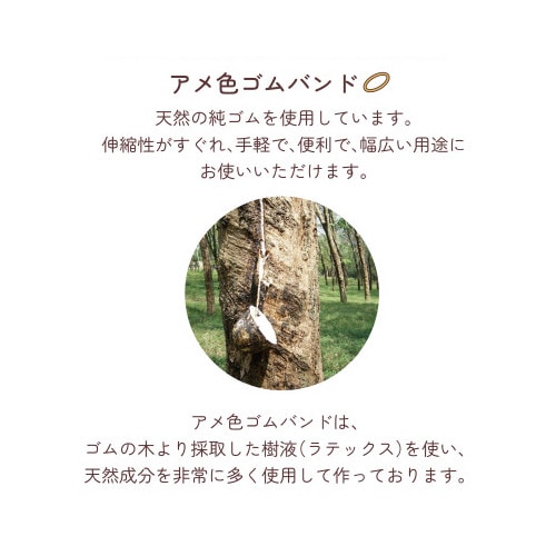 輪ゴム 100周年記念オーバンド缶 スタンダード