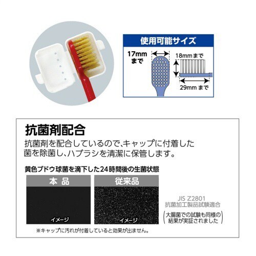 幅広ハブラシキャップ 抗菌×12