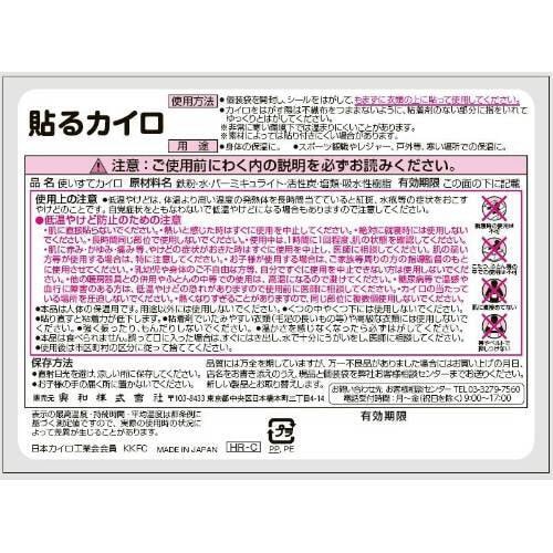 ホッカイロ ぬくぬく日和 貼る レギュラー×4