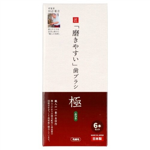 LT−53 磨きやすい歯ブラシ極 ふつう×6