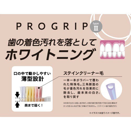 プログリップハブラシ type3 ふつう×12