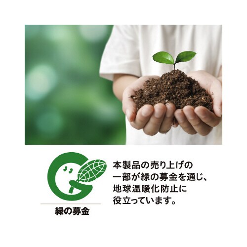 スペアテープ コロコロeco 強接着