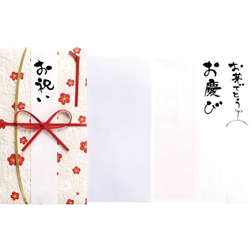 一般御祝用金封 レトロ梅しろ 1枚入×10