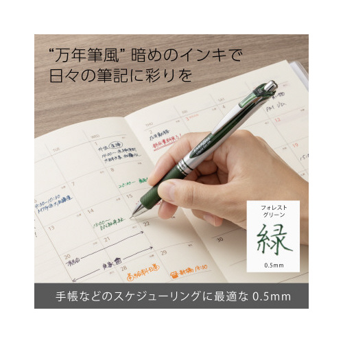{[y֐c@Gi[WFp@ODT