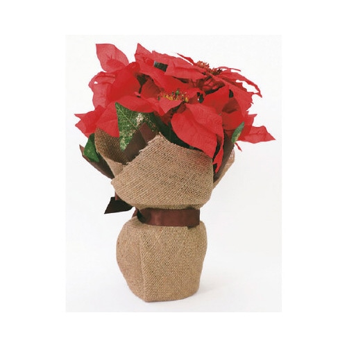 ポインセチアジュートポット