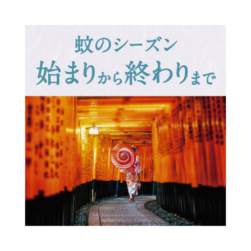 A[Xm[}bg