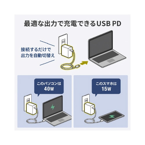 USB PD対応AC充電器 PD100W