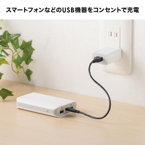 USB充電器(1A・ホワイト)