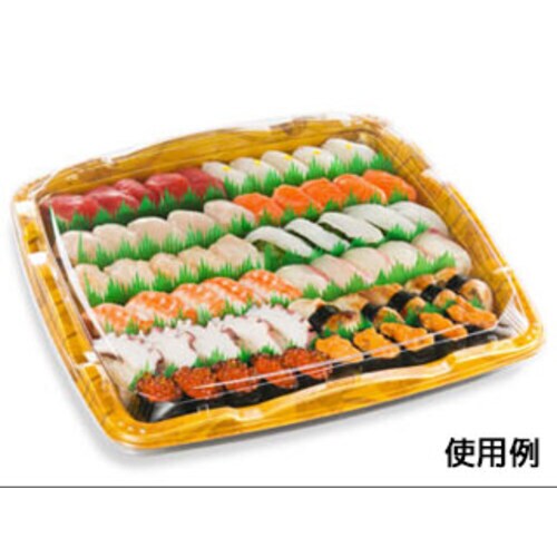 SF剛力6 金剛本体 10パック