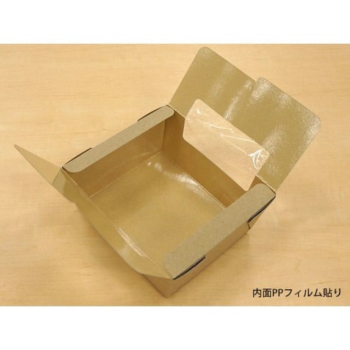 サラダボックス L 15パック