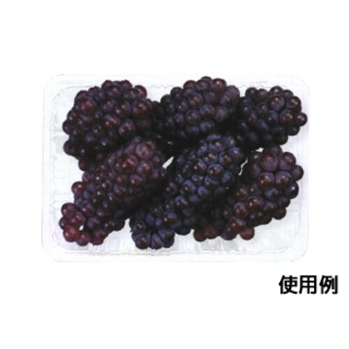 ニュートフルーツK100 4パック