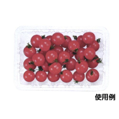 ニュートフルーツE300浅 20パック